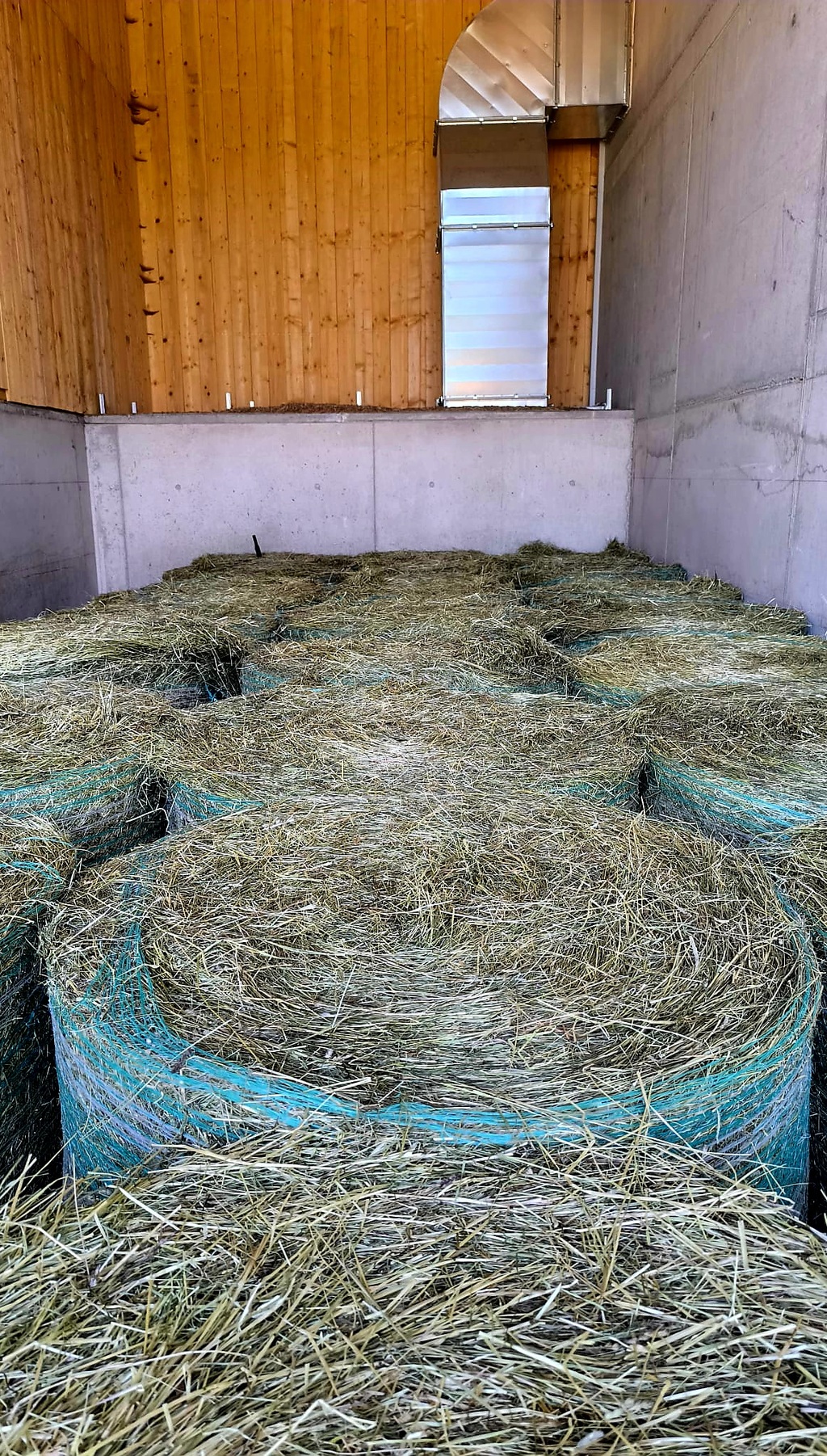 Rundballen in der Trocknungshalle
